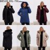 Kurtka damskie (3-7XL/5szt)