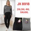PLUS_Spodnie legginsy damskie (2-6XL/12 szt)