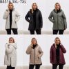 kurtka damskie (3XL-7XL/5szt)