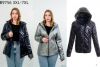 kurtka damskie (3-7XL/5szt)