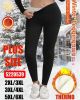 PLUS_Spodnie legginsy damskie (2-6XL   /12szt)