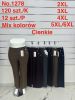PLUS_Spodnie elastyczny (2-6XL     /12szt)