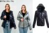 kurtka damskie (3-7XL/5szt)