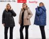 Kurtka damskie (3-7XL/5szt)
